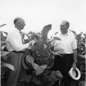 Dean H. Brooks James and other at Coastal Plain Research Station