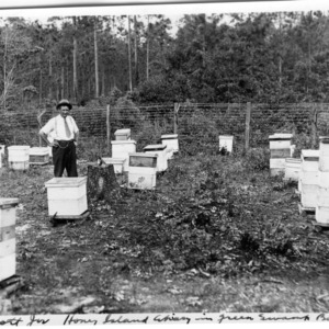 R. W. Scott, Jr. and his Honey Island Apiary in the Green Swamp of Bolton, NC