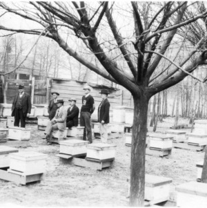 Men in apiary