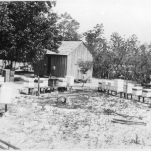 Apiary of D. G. Kelly