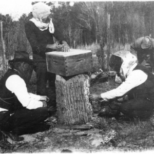Drumming up bees from round gum into box hive