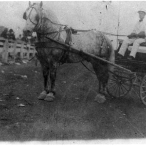 Horse-drawn dairy cart