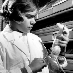 Undergraduate with rat for research project