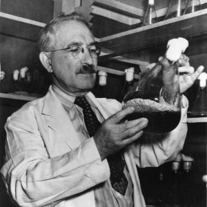 Man observing flask in laboratory