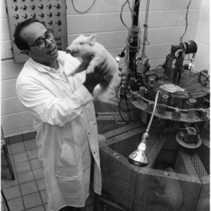 Dr. James Lecce with piglet and "autosow"