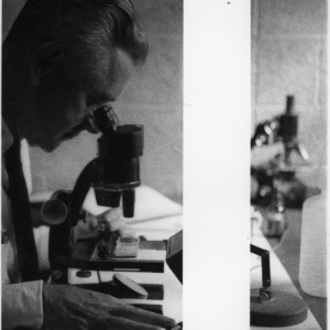 Man at microscope