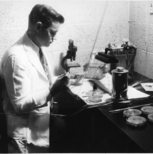 Man examining petri dishes in lab