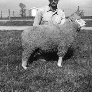 Man with Dorset ram lamb at Animal Husbandry Farm