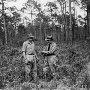 Men examining poisonous plants in forest
