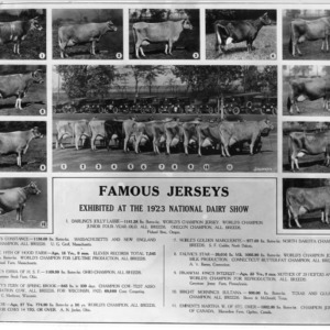 Famous Jerseys Exhibited at the 1923 National Dairy Show