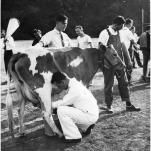 John Goodman milking cow