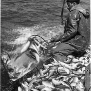 Unidentified photo of fisherman