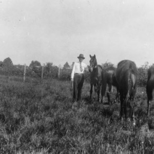 Hugh Mayo with Horses