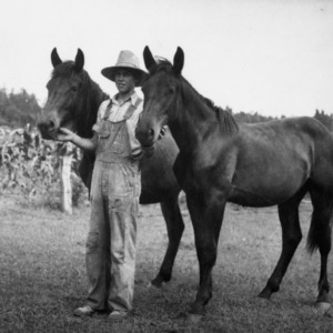 Boy With Two Horses