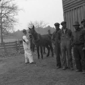 Franklin County Horse and Mule Clinic