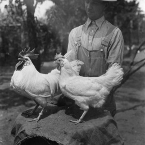 Farmer with rooster and hen