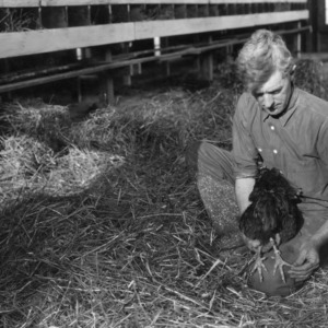 Farmer with a chicken