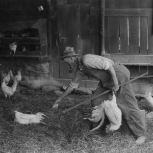 Farmer in the Chicken Coop