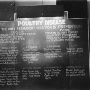 Poultry Disease - The Only Solution is Prevention (Poster)