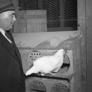 N.W. Williams of the State College Poultry Department with a 1,000-egg hen developed by the Experiment Station