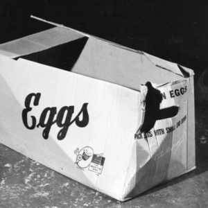 Egg crate