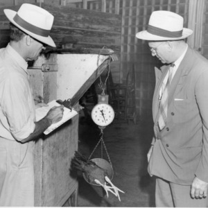 Carey J. Maupin and Clifton F. Parrish recording chicken's weight