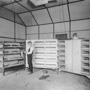Poultry Department, 1932
