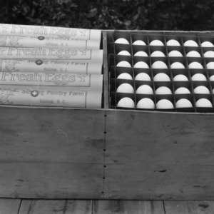 Fresh Eggs from Valdese, N.C.