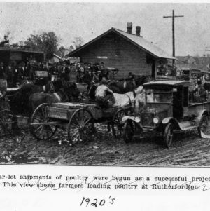 Farmers Loading Poultry at Rutherfordton, 1920's