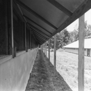 Exterior of Chicken House