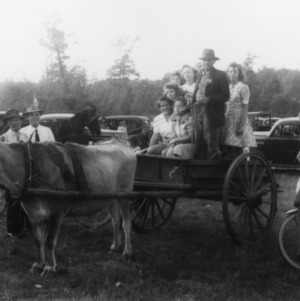 Ox-drawn cart