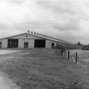 Large poultry house