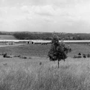 Lowder Farm, 1957