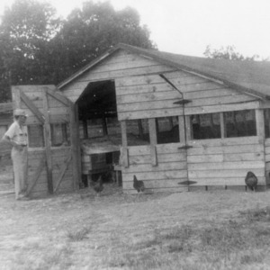 Summer laying house, Scott Poultry Farm, Wilson, 1952