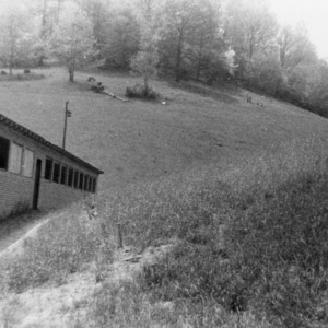 Poultry house and alfalfa range
