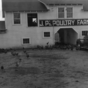 J.P. Doughtry Poultry Farm, Clinton, N.C., Sampson County, 1942