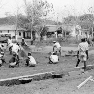 Poultry Extension Work in Nigeria, 1950's
