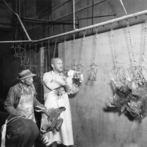 Poultry Processing, Piedmont Dressing Plant, Concord, 1950