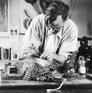 F. W. Cook examining poultry