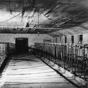 Interior of dairy barn before conversion into brooder house