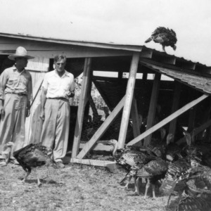 Two men and turkeys in front of brooder house