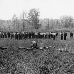 Group with swine and piglets on Field Day
