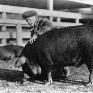 Man with pig