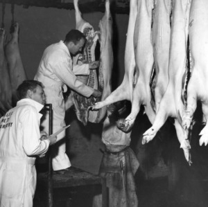 Men observing hanging pig carcasses in N. C. State College Meat Laboratory