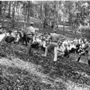 Forest erosion caused by grazing