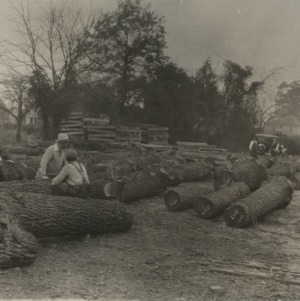 Walnut Logs