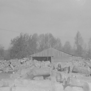 Log Yard