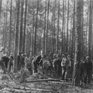 Forest Meeting Demonstration, Thinning Shortleaf Pine