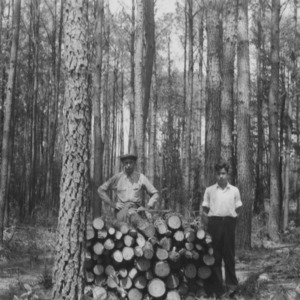 Hal Trott and his father standing beside a portion of the seven cords cut from Hal's timber thinning project.