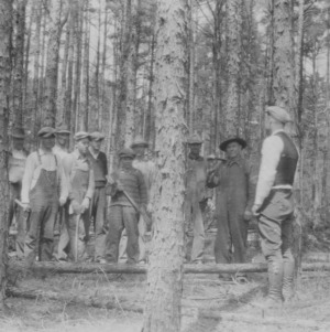 Field meeting at a pine thinning demonstration on farm of J.P. Turbyfill